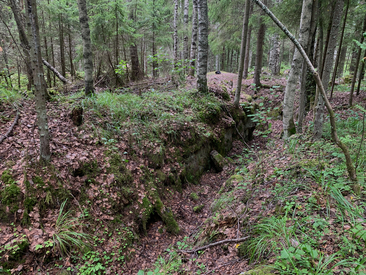 То там, то тут можно увидеть окопы и блиндажи, которые хоть и постепенно зарастают, но еще отчетливо видны невооруженным глазом.