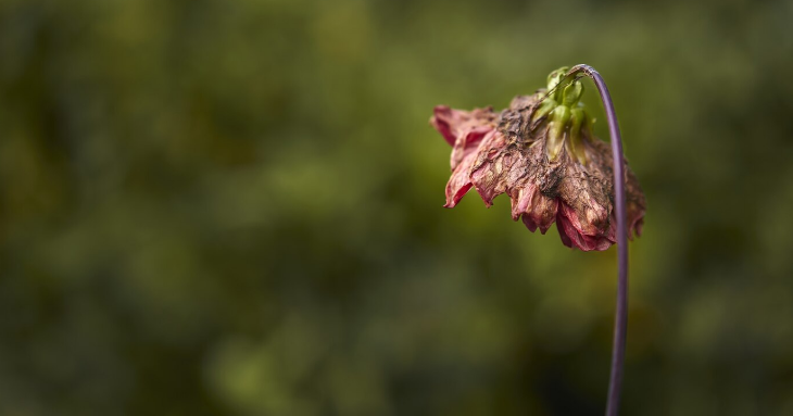 Источник: freepik.com