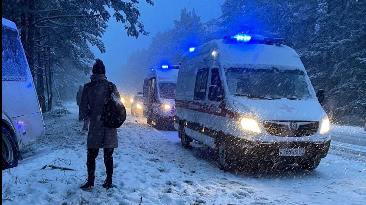    Фото: t.me/black_sbor