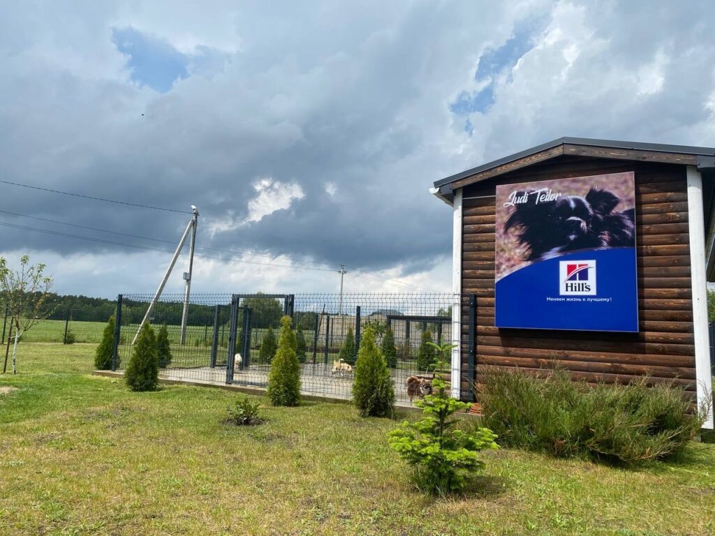 питомник чихуахуа JudiTeilor