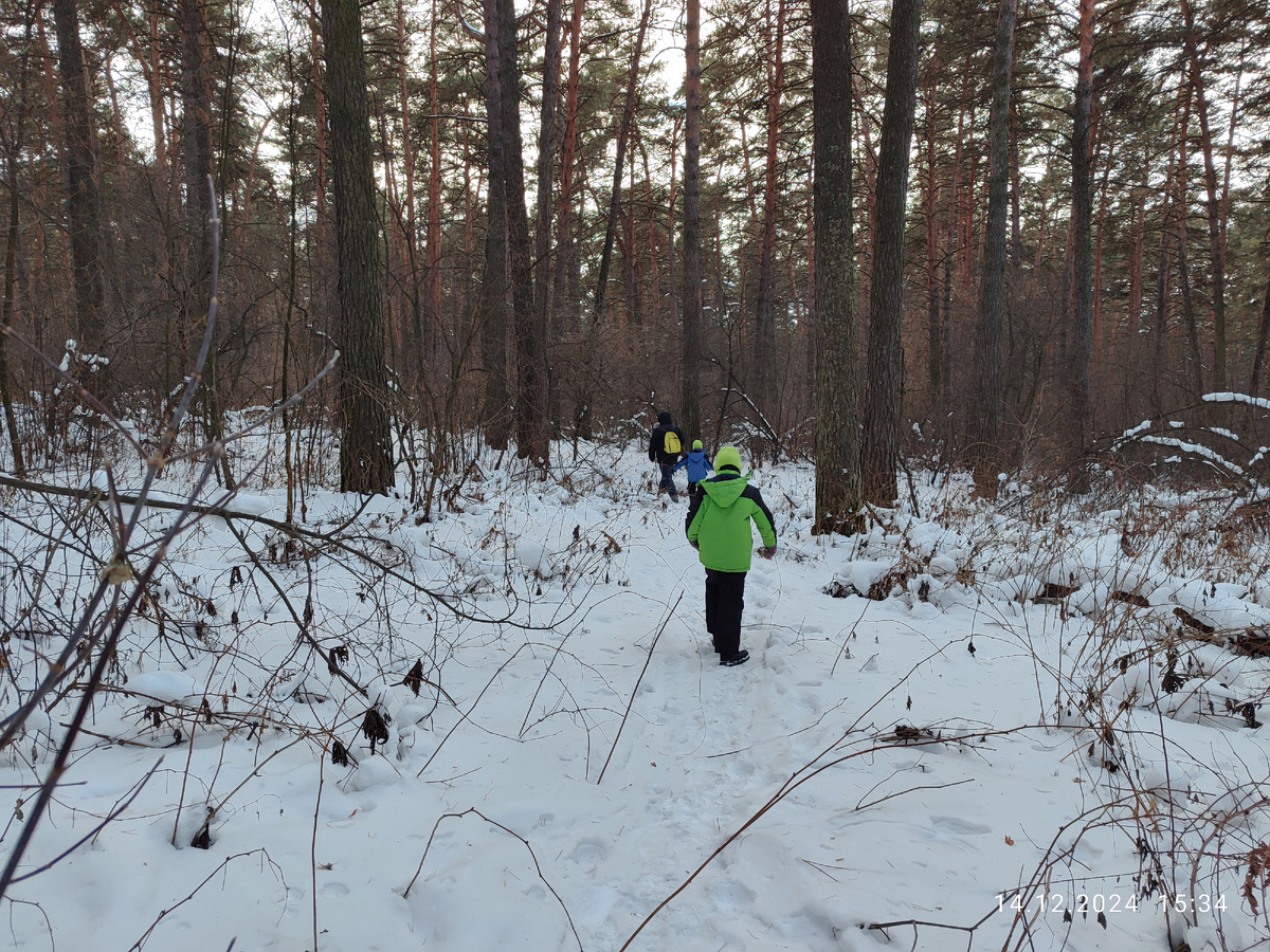 "...В глухих лесах седой холоп их молча вел во тьму..."
