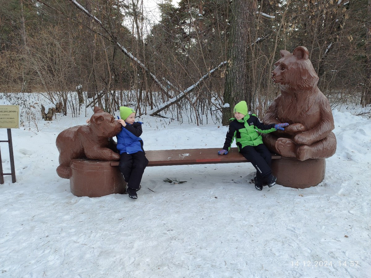 Паша, Вадя и медведи