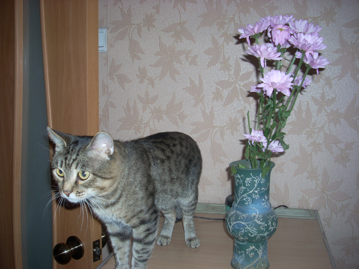 Фото автора. Фотографий маленького Мити тоже не сохранилось