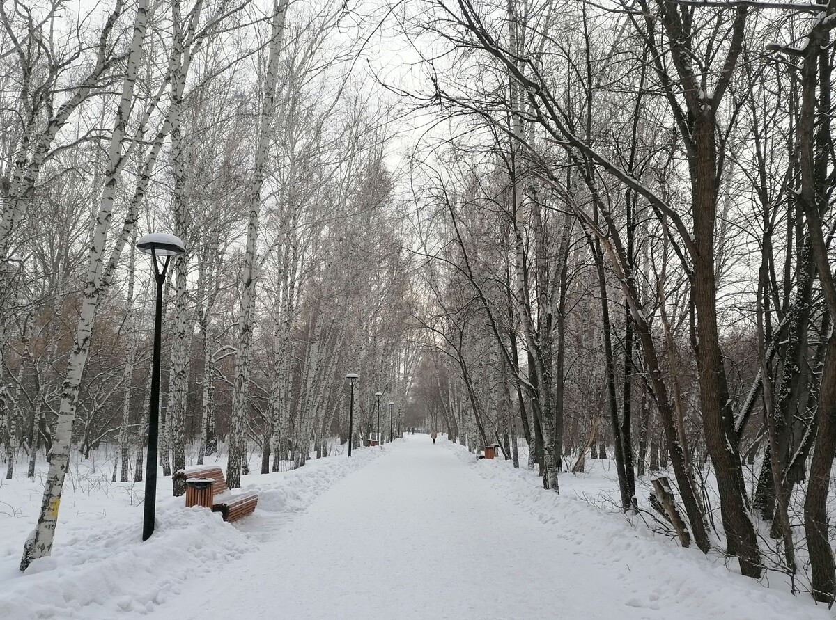 На прогулке в парке