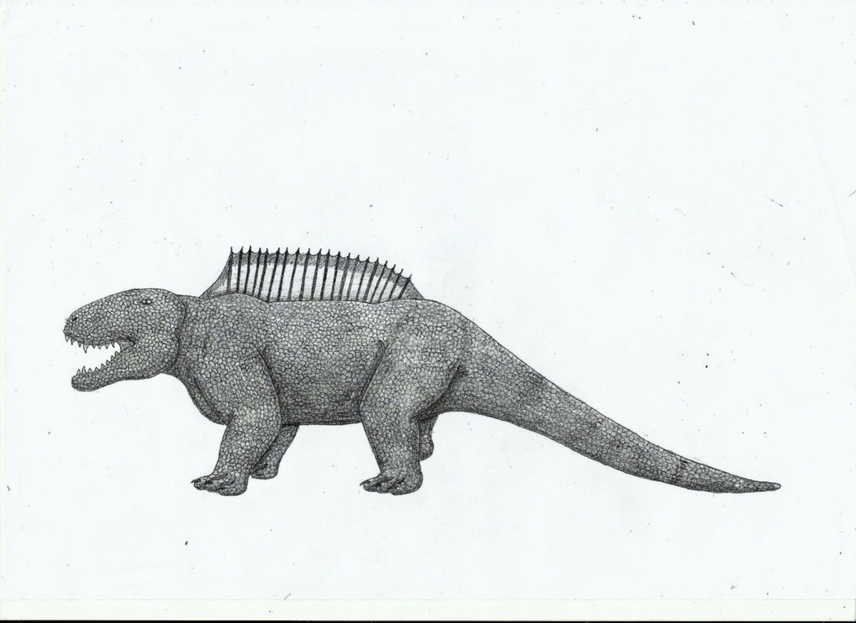 Иллюстрация с таппенозавром.