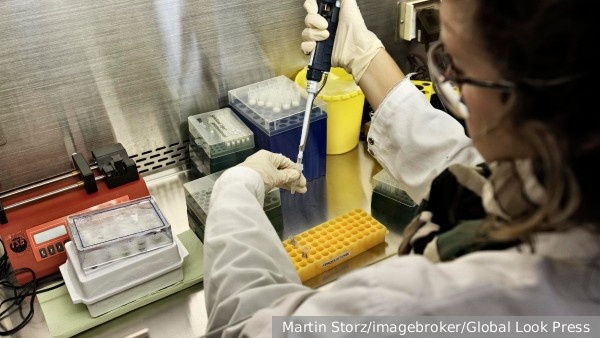     Фото: Martin Storz/imagebroker/Global Look Press   
 Текст: Вера Басилая