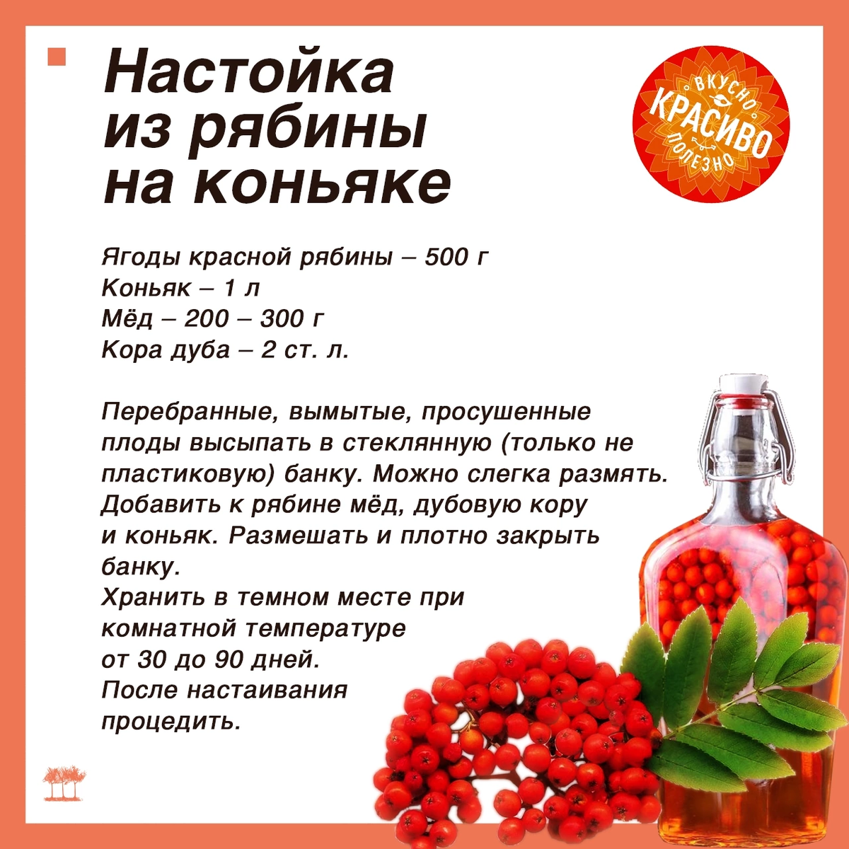 Настойка из рябины