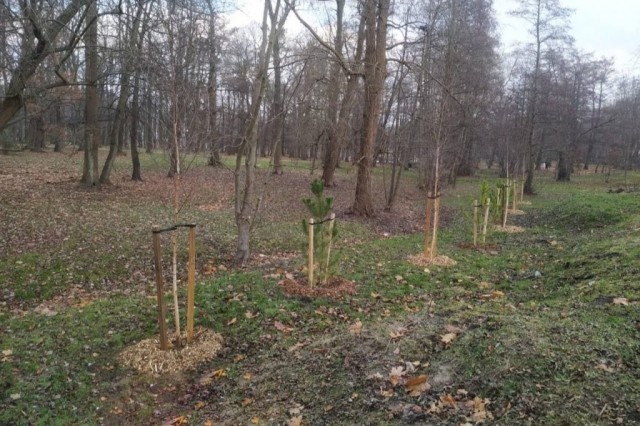   Фото: zelenogradsk.com