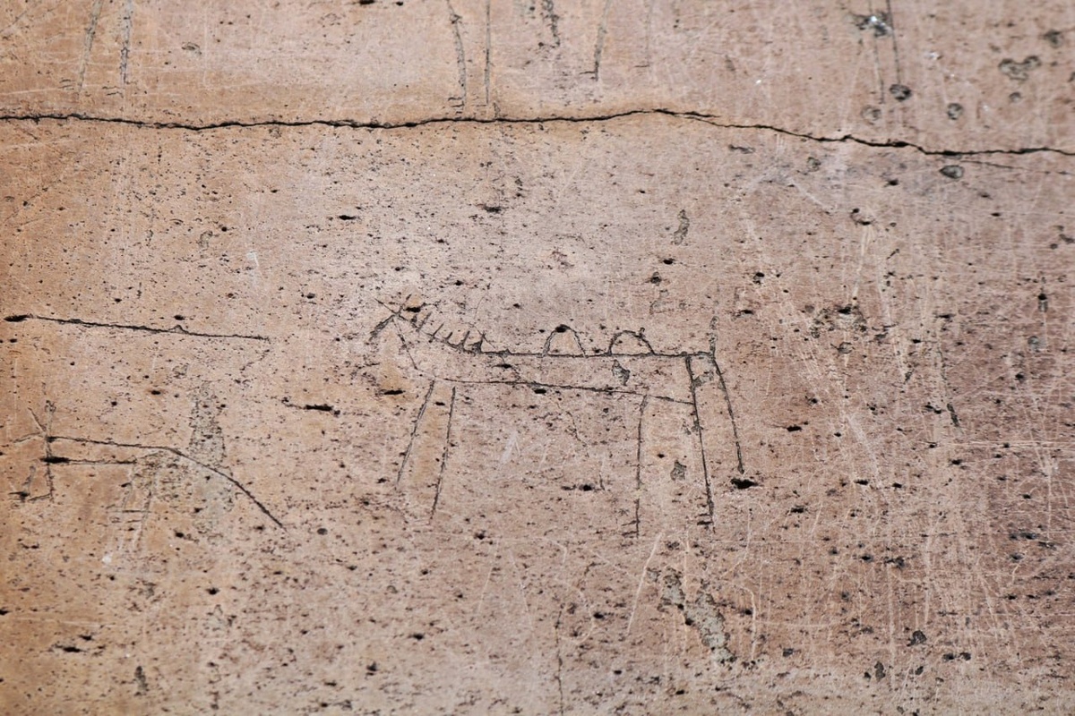 Изображения, выбитые на скальном массиве,  сгруппированы в небольшие панно