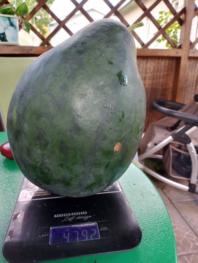 Вот такой результат.