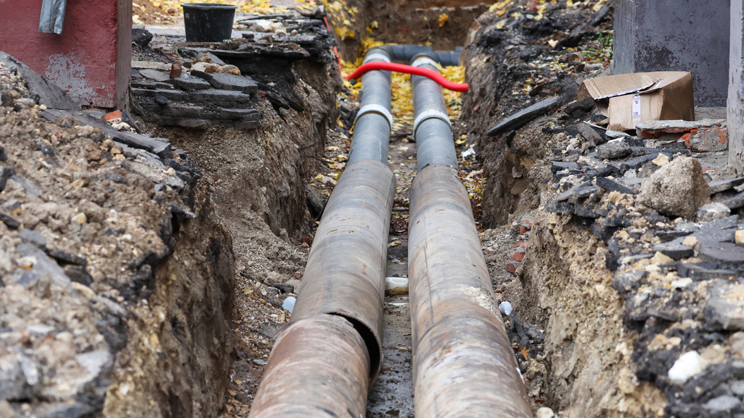    © Belkin Alexey / news.ru/Globallookpress