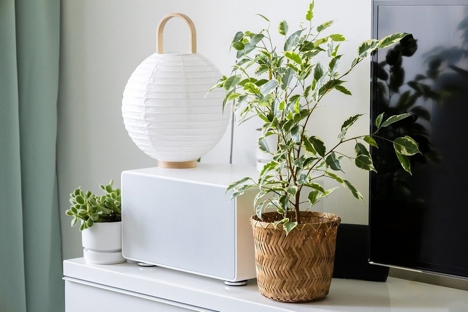    ShutterStock/Fotodom.ru