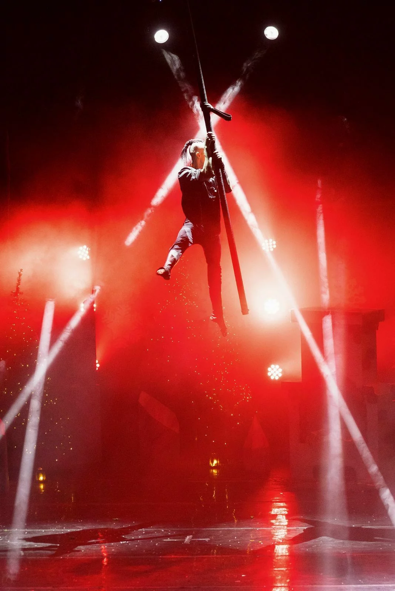 ТОП-5 преимуществ посещения Цирка Чудес с семьей