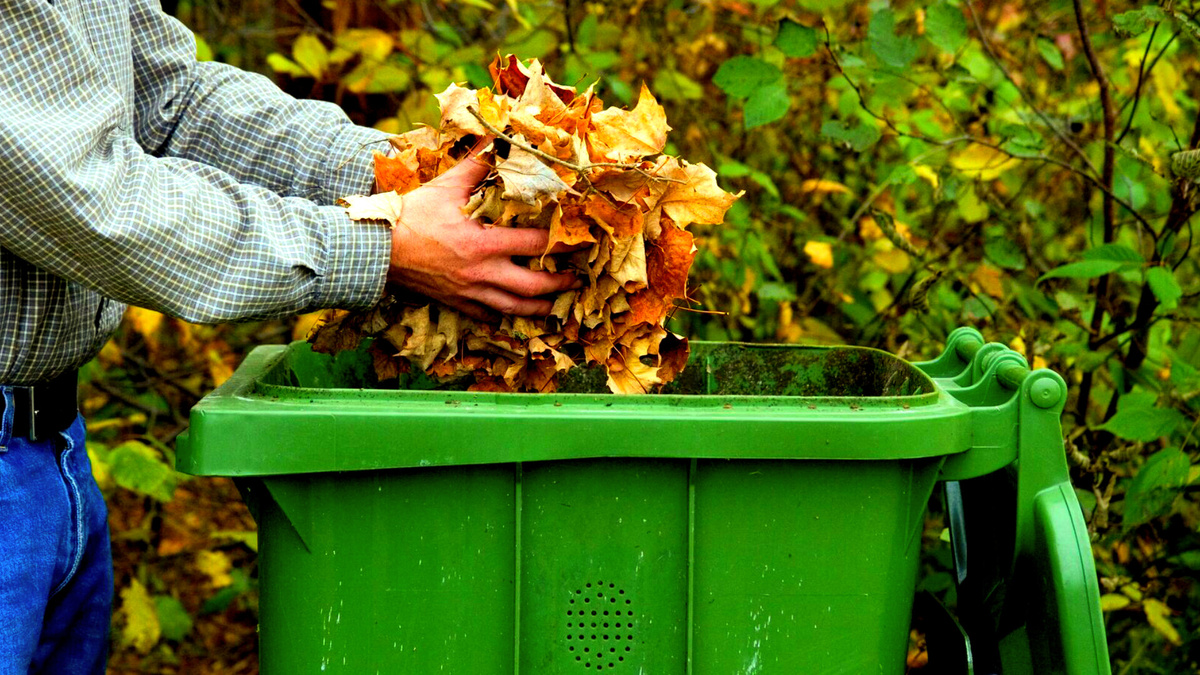 Про компост из листьев есть статья на канале