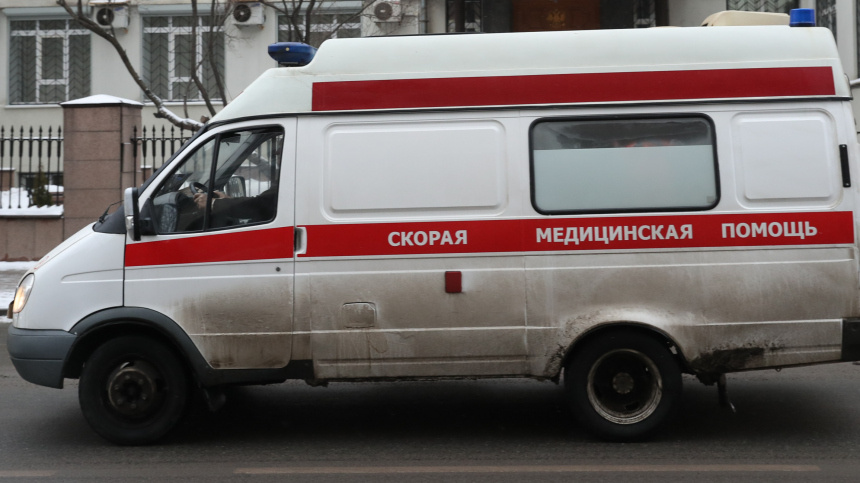    Фото: ИЗВЕСТИЯ/Александр Казаков