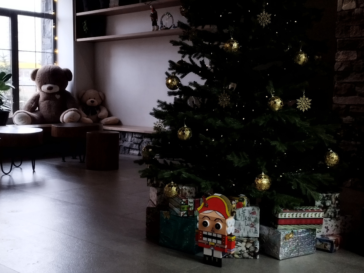 Медведь в подъезде. Фото из личного архива автора