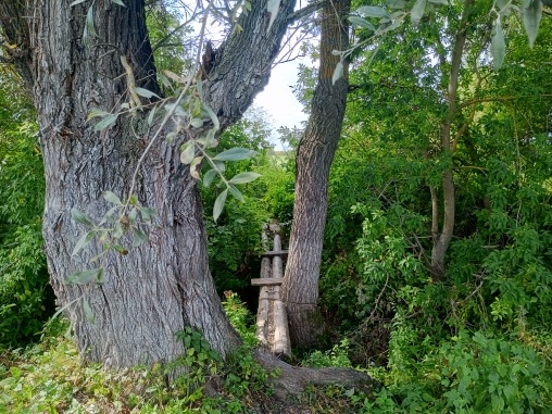 Мостки через местную речушку.