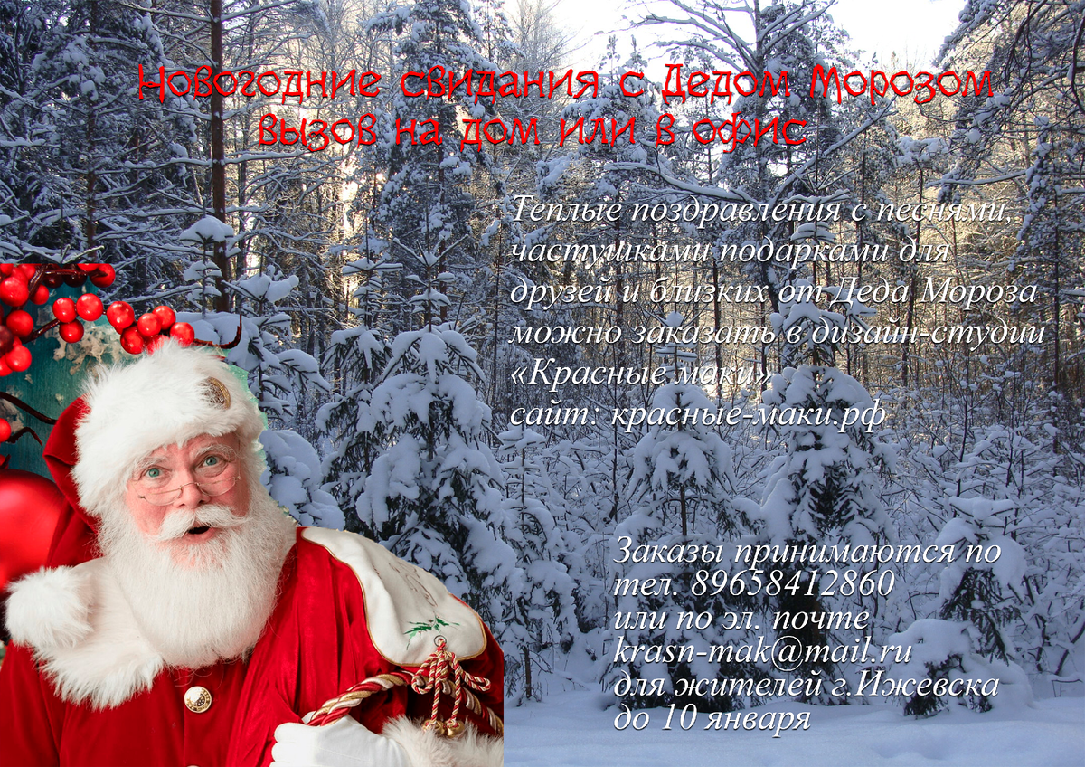 Визитка по заказу встречи с Дедом Морозом в офисе или дома в г.Ижевск, Удмуртия