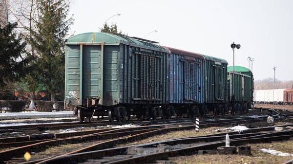    © Sputnik / Mihai Caraus