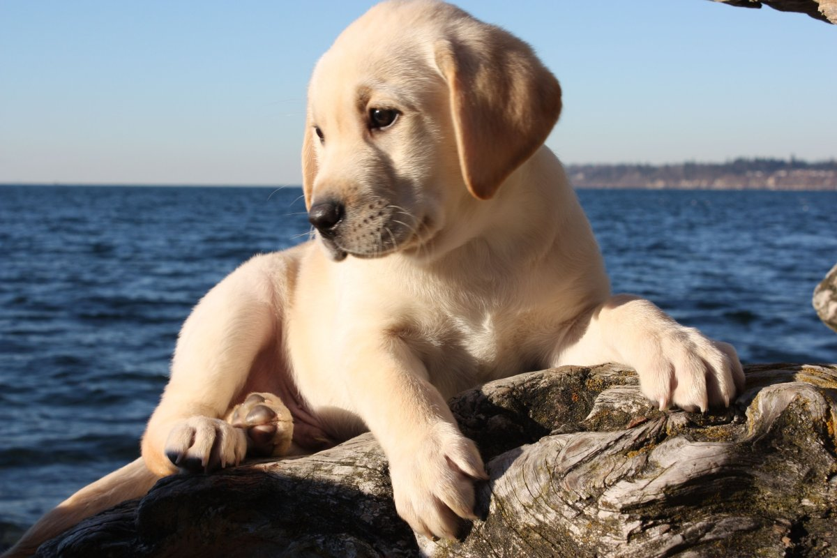 Фото с Pinterest для примера