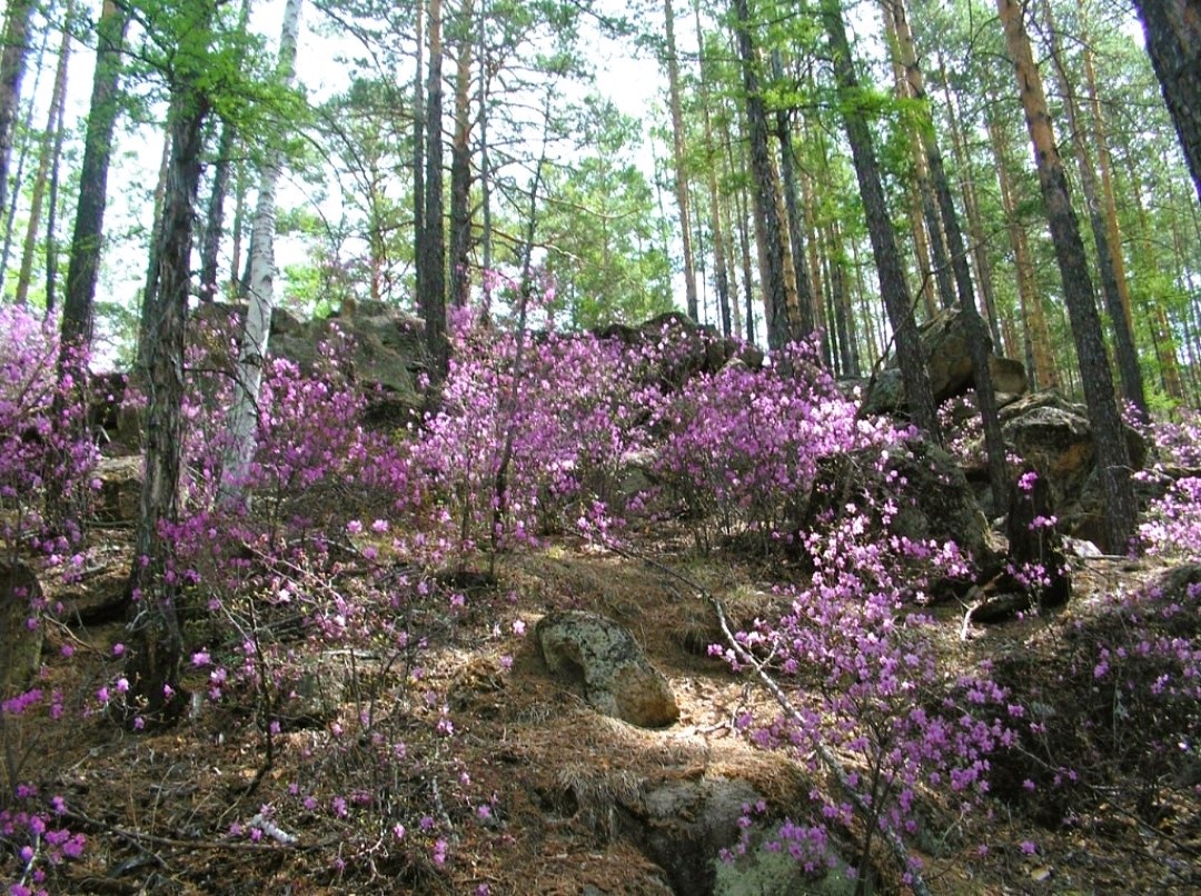 Автор фотографии - Алена Грешилова