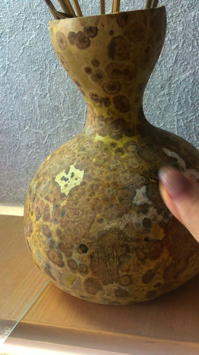  Сташненькая, но интересня. фото автора