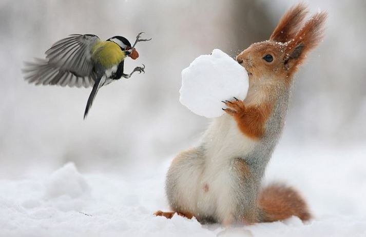 Автор фото - Вадим Трунов