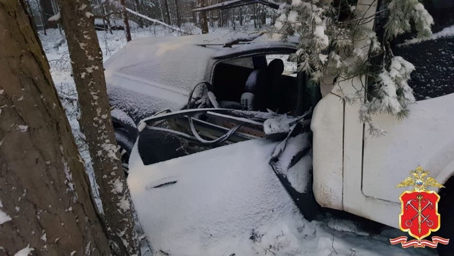    Автор фото: ГУ МВД по Санкт-Петербургу и Ленинградской области