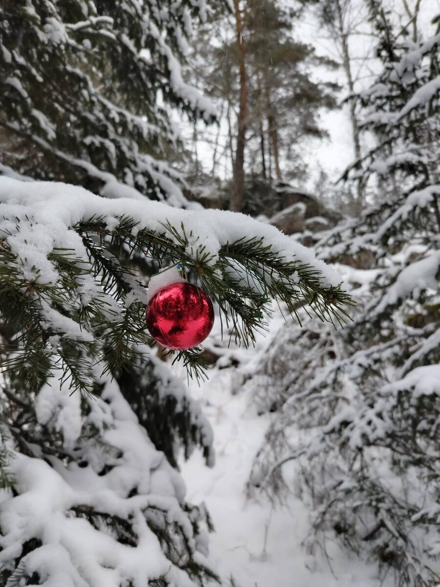 Скоро новый год и таких пакетов будет очень много 