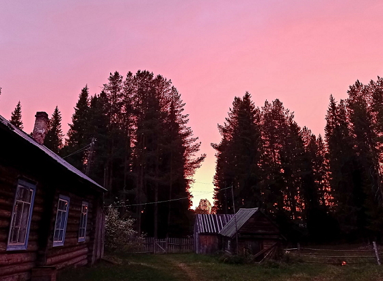Дом Эльвиры Николаевны на краю поселка. Дальше - только лес.