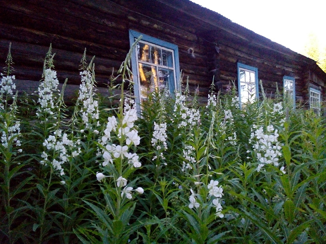 Дом Эльвиры Николаевны Кудрявцевой