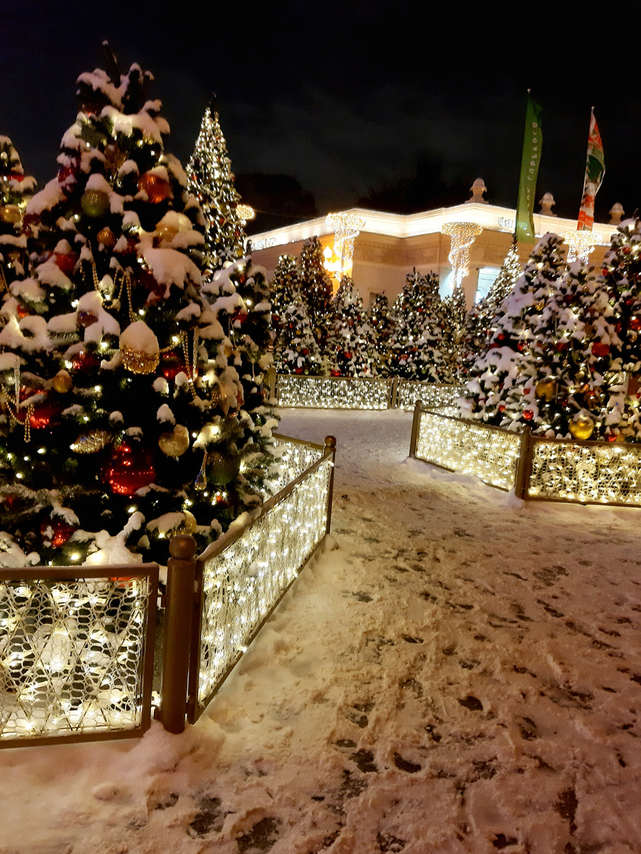 Зимний сказочный лес у входа в Парк Горького. Москва. декабрь 2024 год.