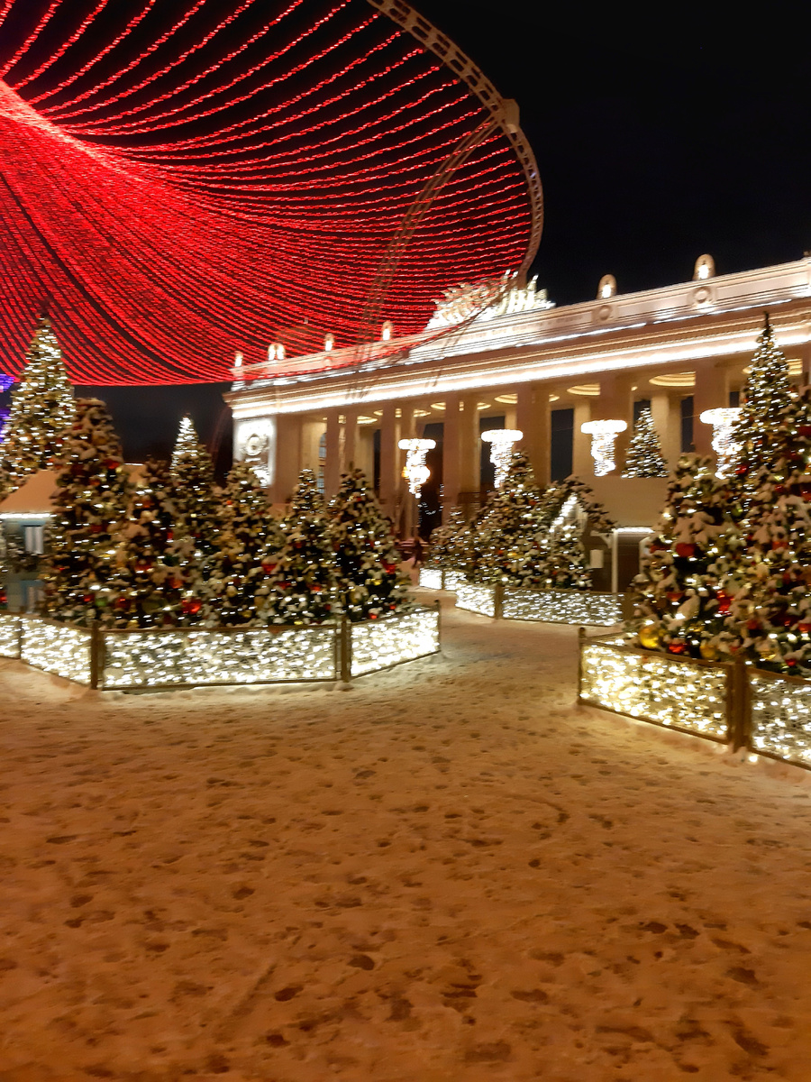 Зимний сказочный лес у входа в Парк Горького. Москва. декабрь 2024 год.