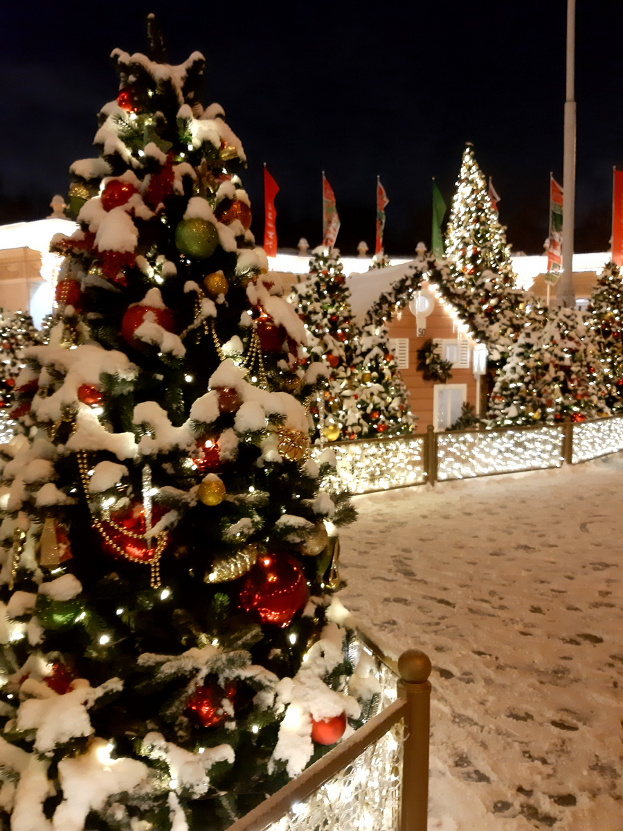 Зимний сказочный лес у входа в Парк Горького. Москва. декабрь 2024 год.