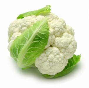 Фото из свободного доступа интернета