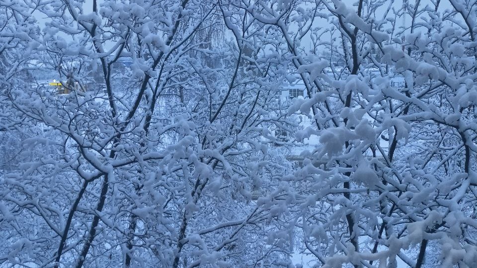 Жилет спицами