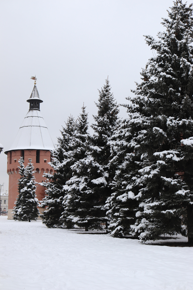 фото автора Елены М.