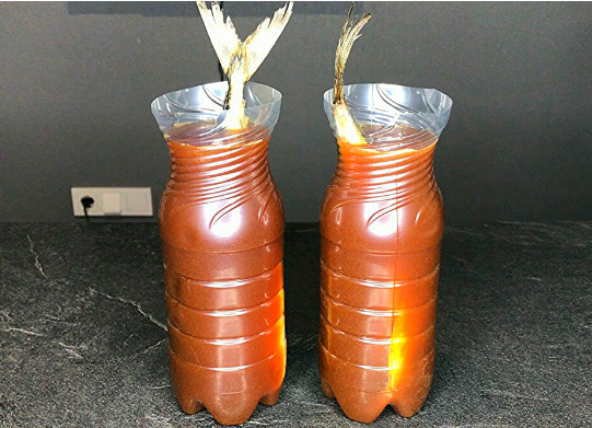 Скумбрия, маринованная в бутылке
