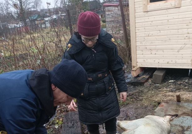 Записки хозяйки Дома для людей, оказавшихся в сложной жизненной ситуации, - «Ремесло добра» // Фото автора