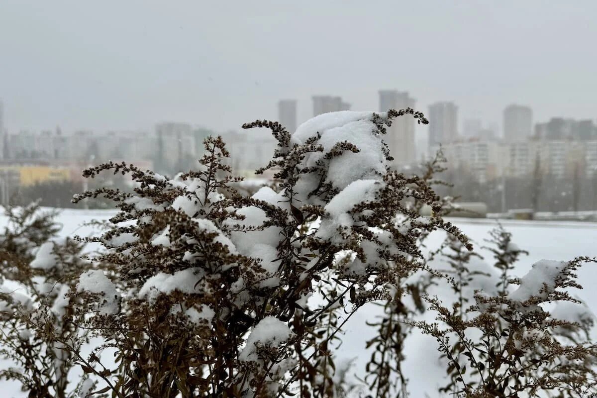 Фото: UfaTime.ru