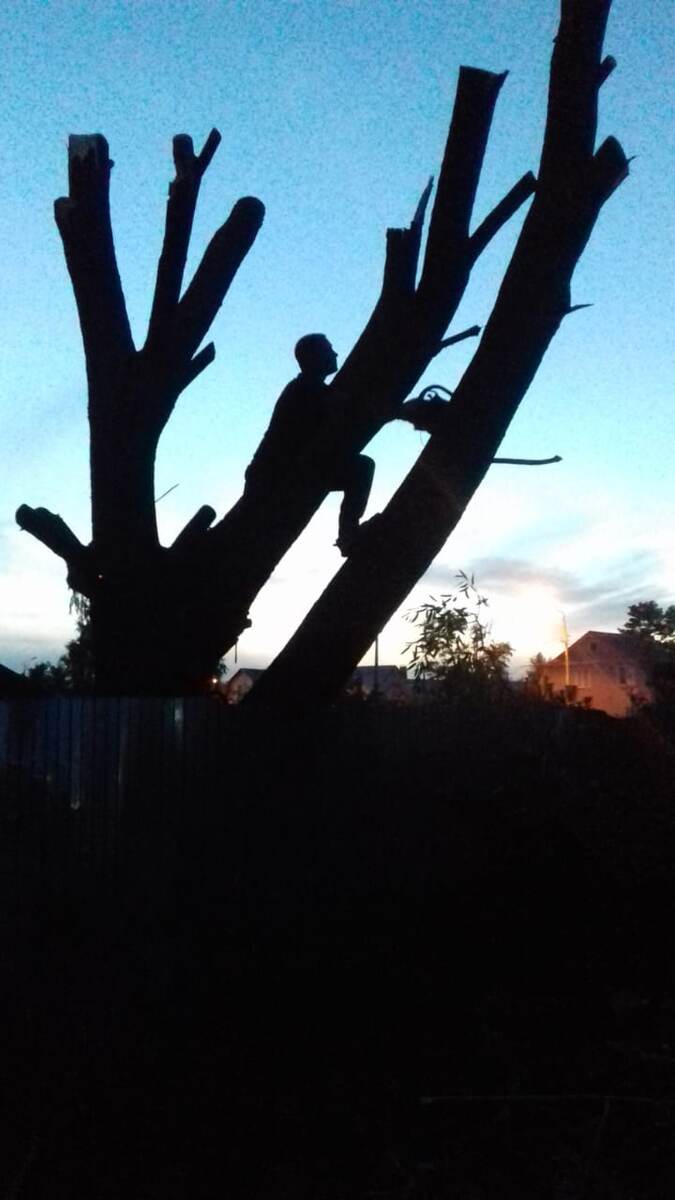 Напарник сделал фото, где я пилю на закате. Качество не очень, но мне фото приглянулось. 