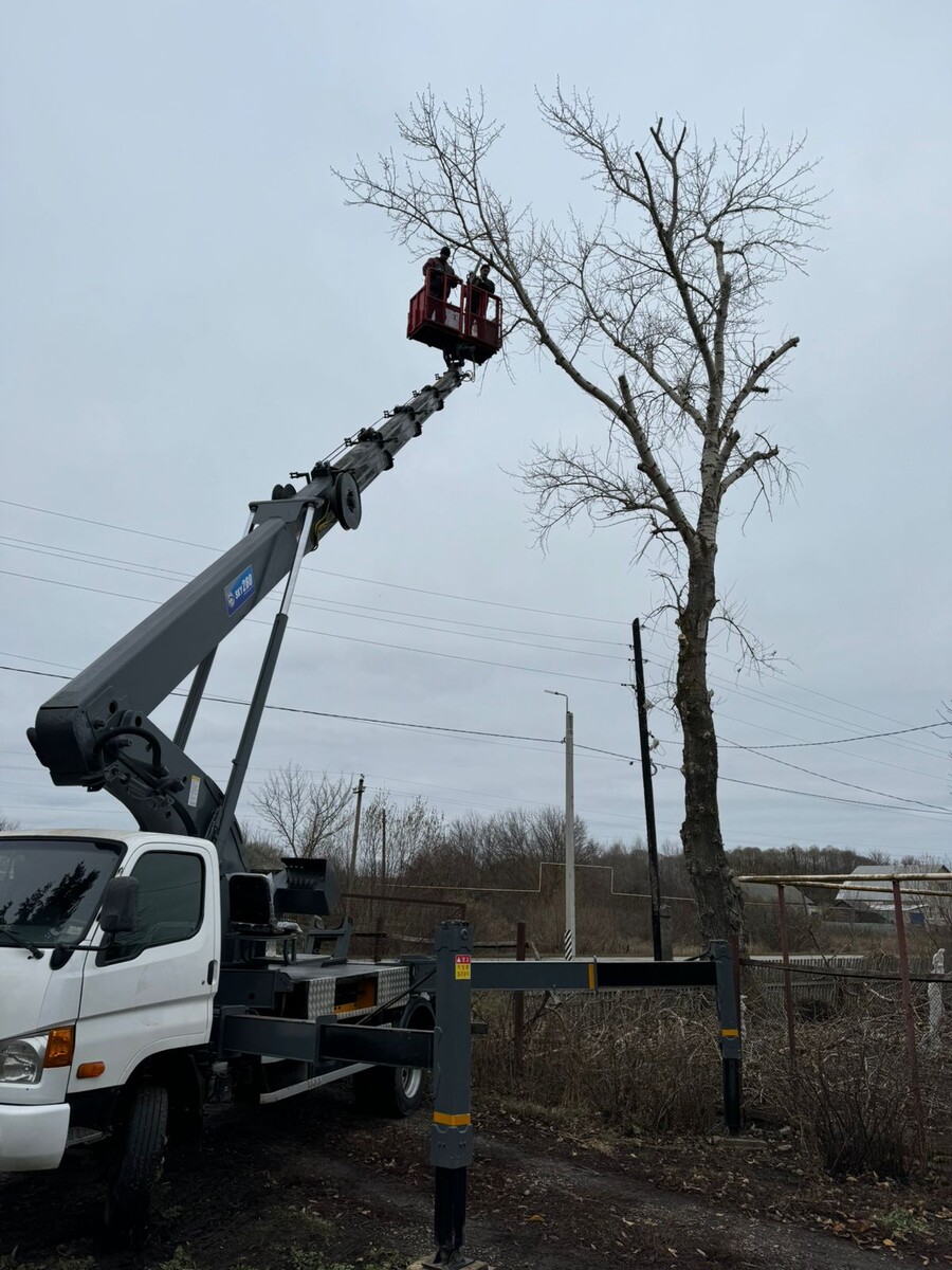 Мой первый спил с вышки. Я за 3 часа работы забрал - 10.000. Вышка и напарник оплачивались отдельно. Тополь был не маленький