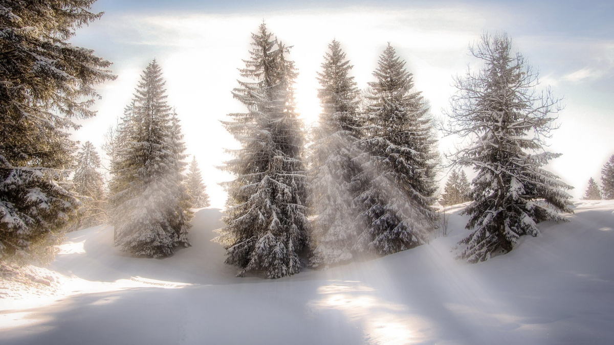 16 декабря в народном календаре отмечается день Ивана Молчальника. Источник: goodfon.ru