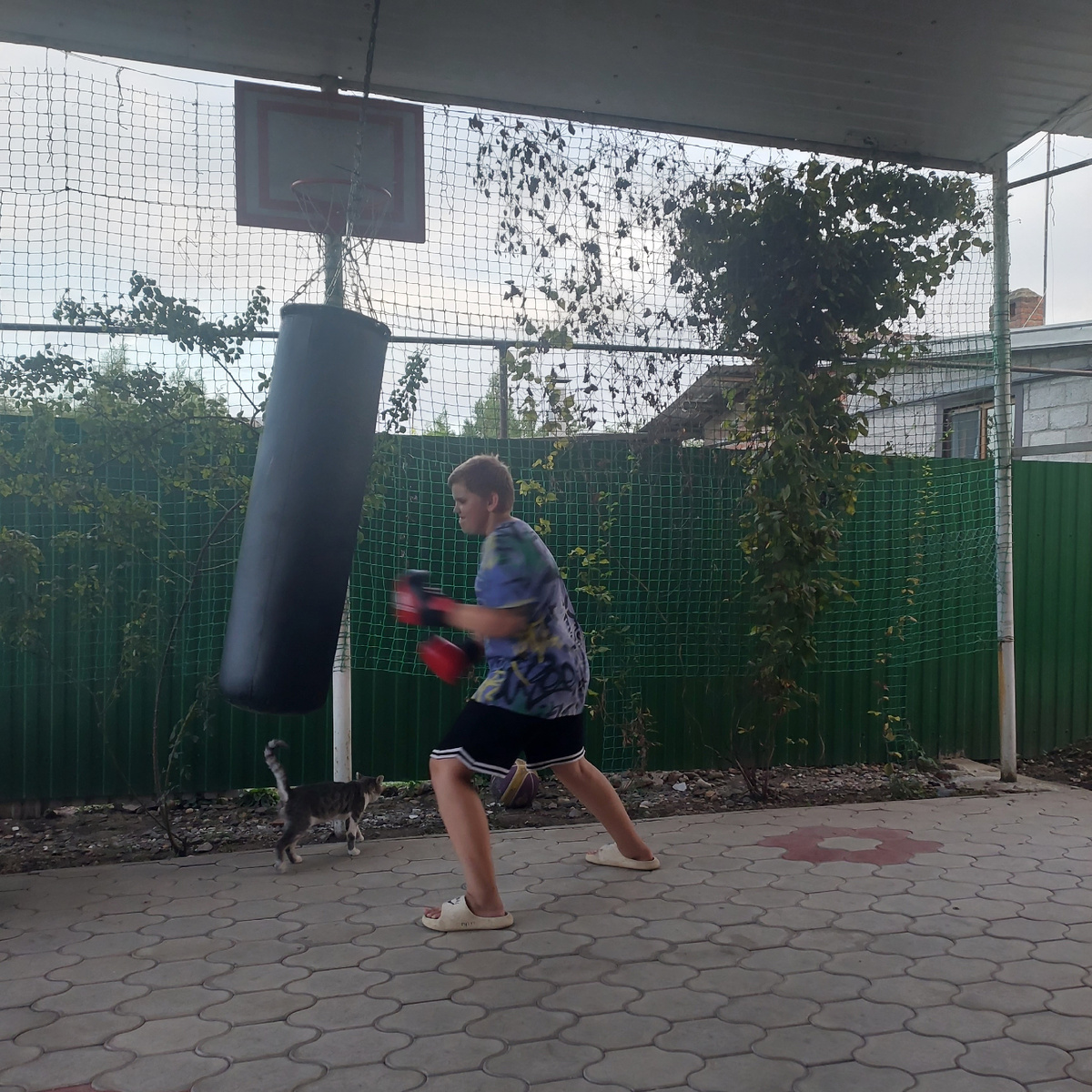 Домашняя тренировка