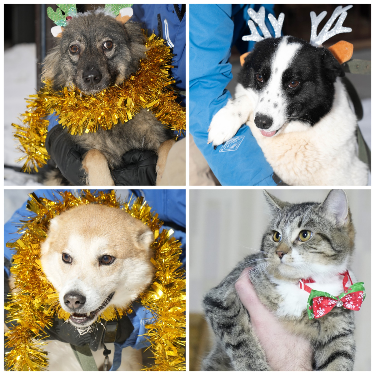 Саня, Юна, Джин, Василиса 