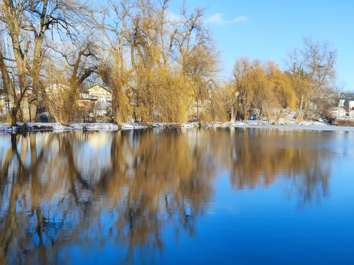 "Смотри лишь Божьими глазами". Экопарк Баталинский. 14.12.2024г.