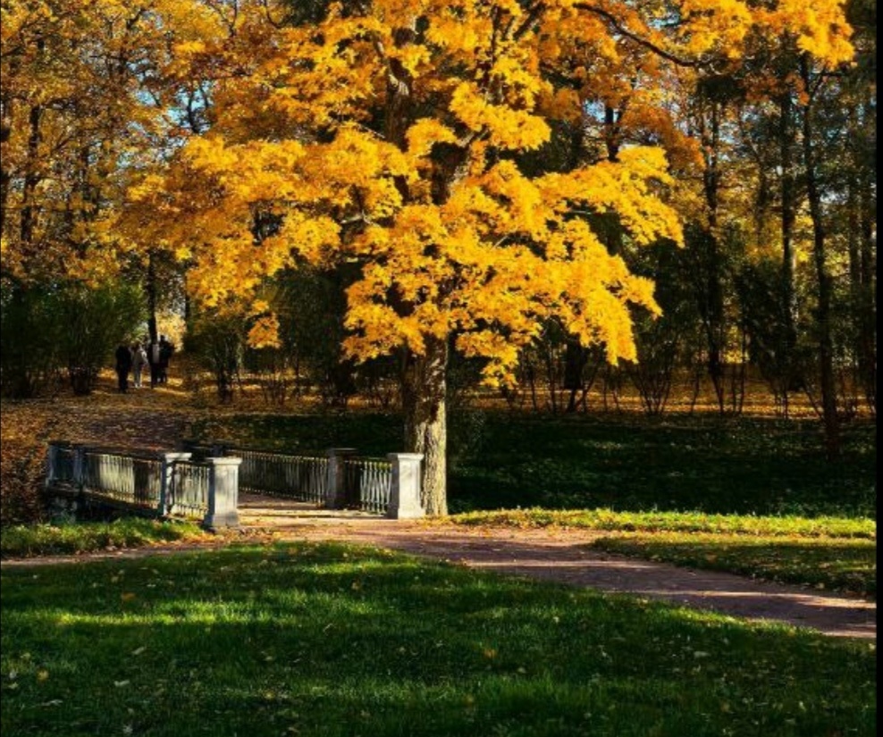 Это одна из многих фотографий Л. Комаровой, размещеных в Телеграмм на канале "Мир, который вижу я" 
