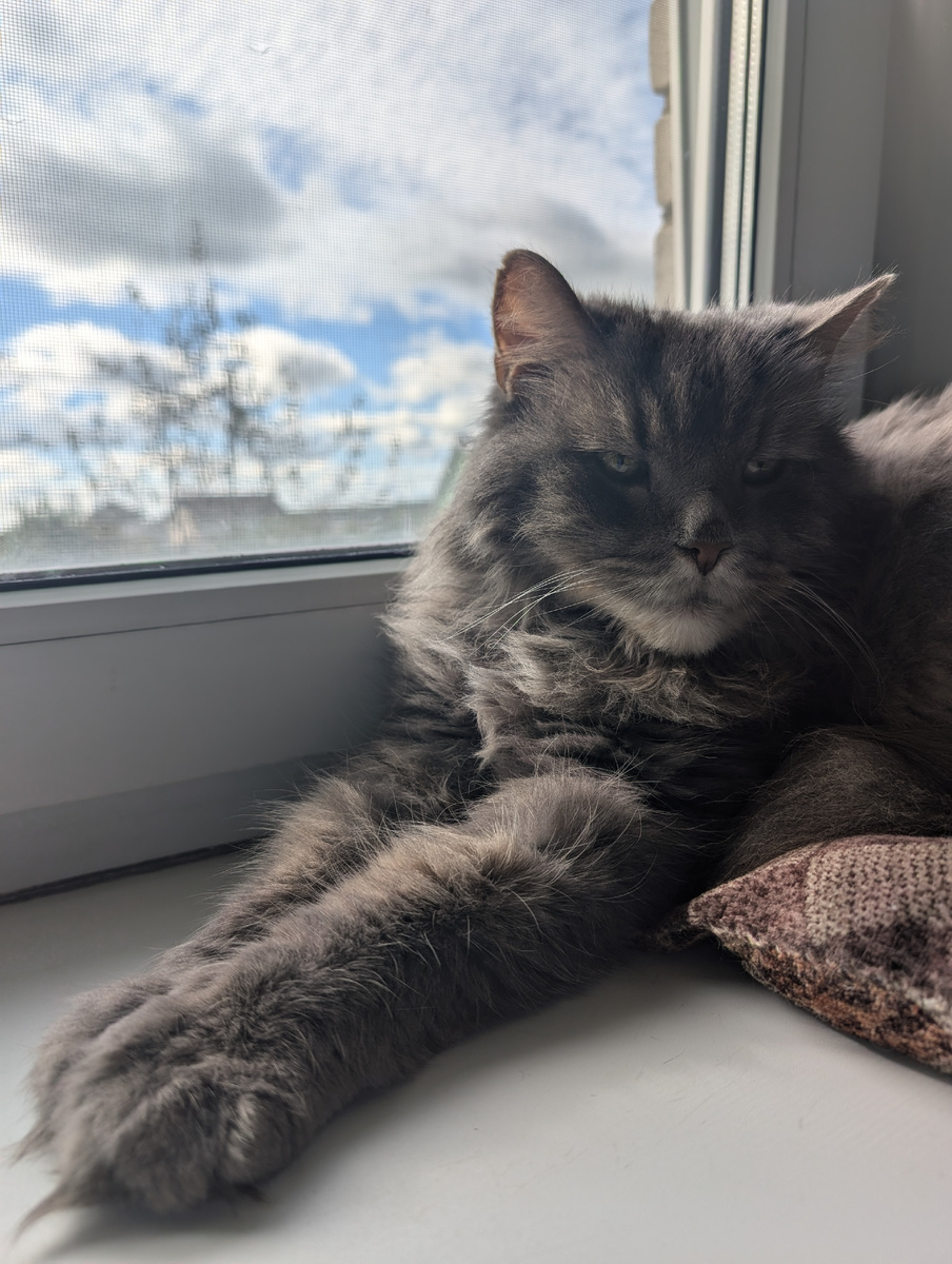 Ну красавчик же)) Дыыыма