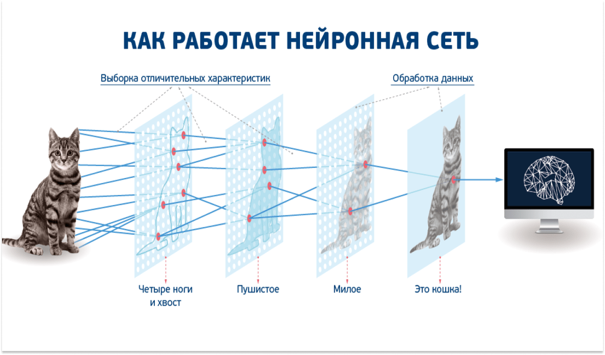 Как нейросеть анализирует данные