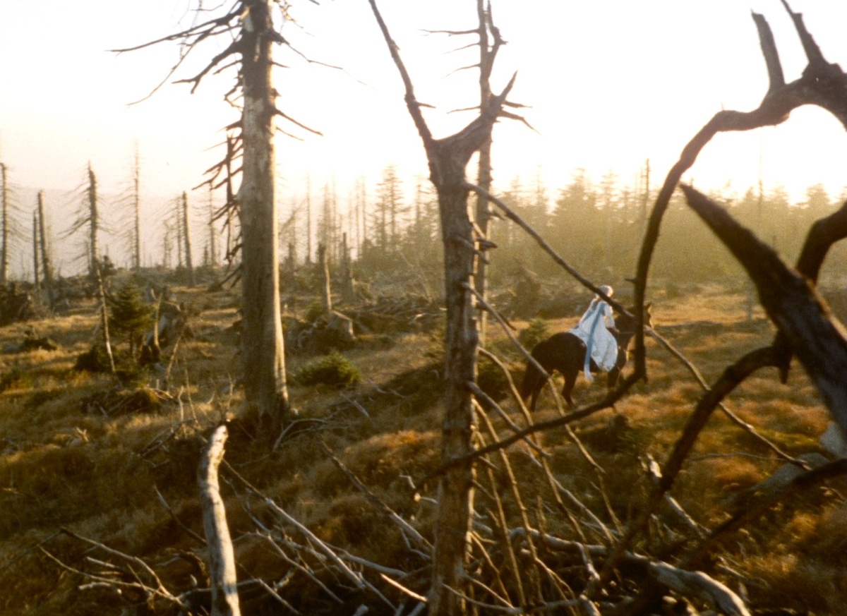 Кадр из к/ф «Красавица и чудовище».